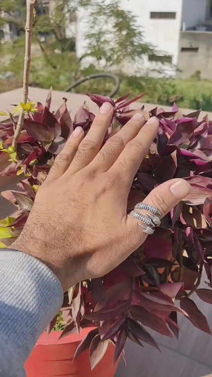 Dragon Claw Wrap Silver Ring | Unique Handcrafted Statement Jewelry by SilverSlayy